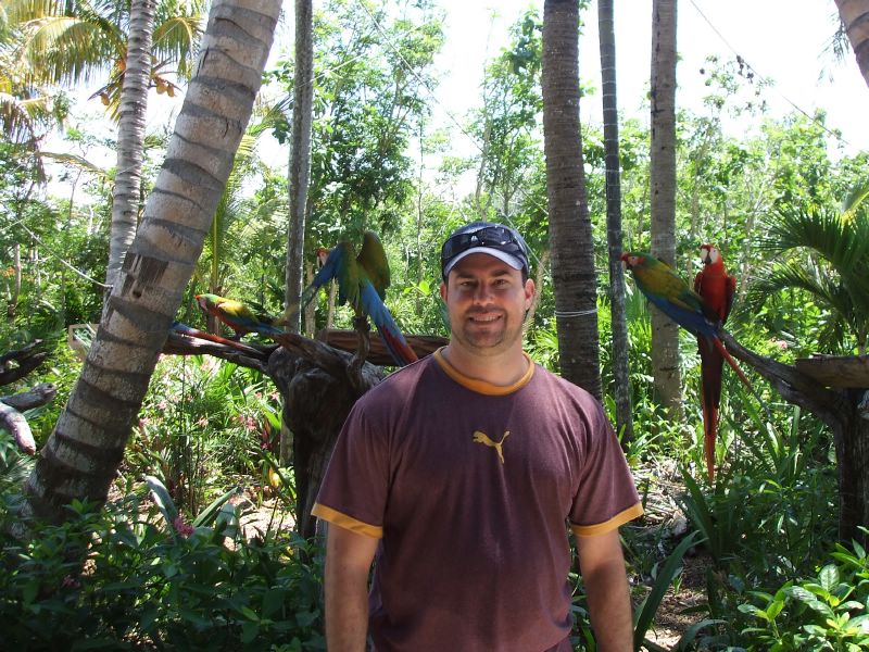Dave, Parrots